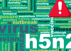 WHO reports first fatal human case of H5N2 bird flu